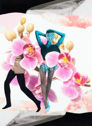 Floral Mirage