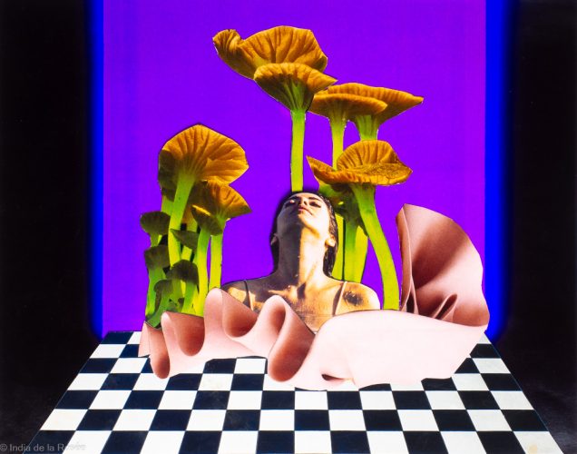 Psychotropes